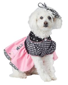 50s Poodle Pooch
