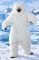 Polar Bear Deluxe Costume